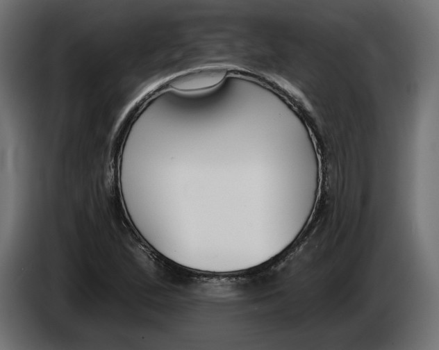 X0000083071167200703022150
