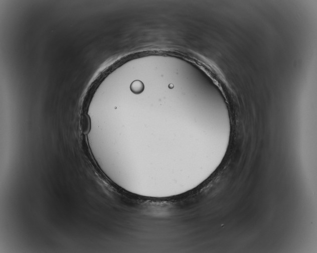 X0000083071168200703022150