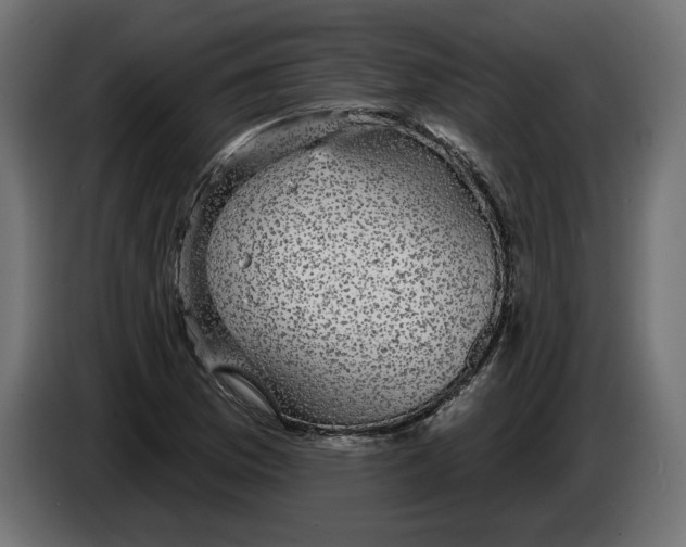 X0000083071169200703022150