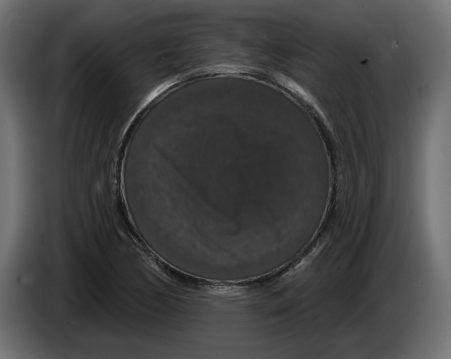 X0000083071170200703022150