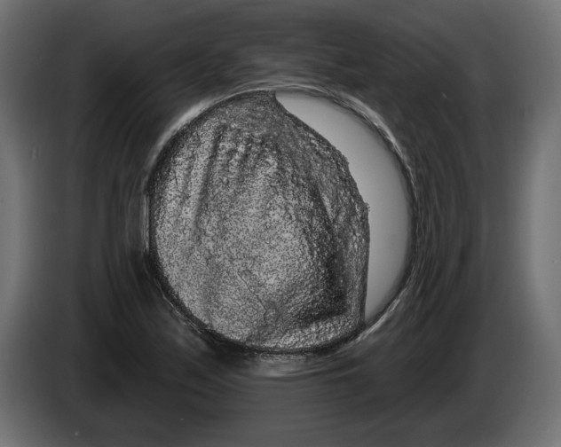 X0000083071171200703022150