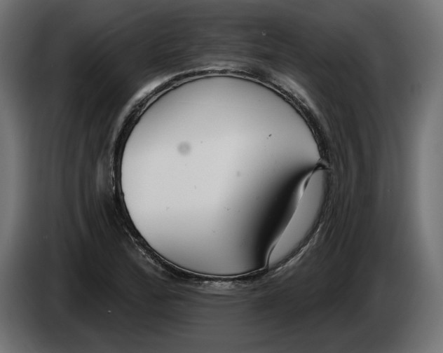 X0000083071172200703022150