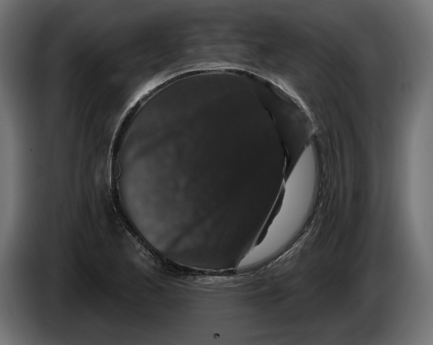 X0000083071173200703022150