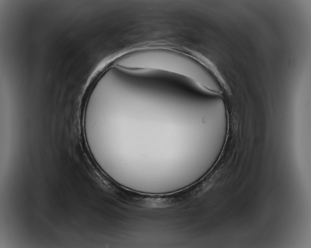 X0000083071176200703022150