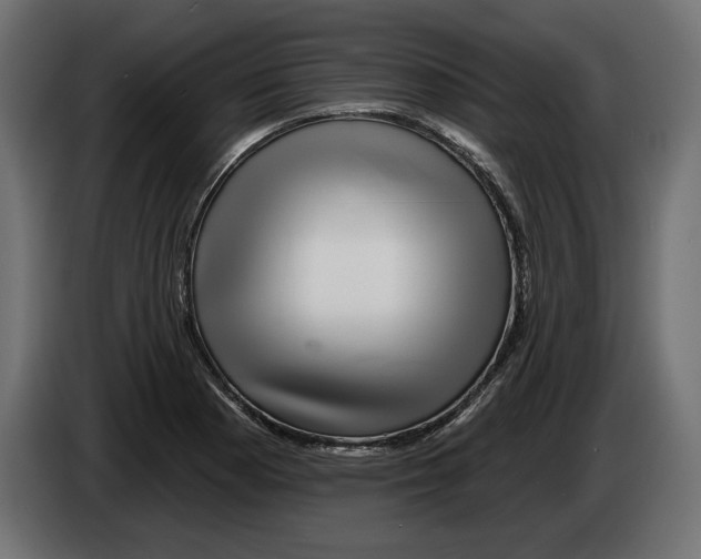 X0000083071177200703022150