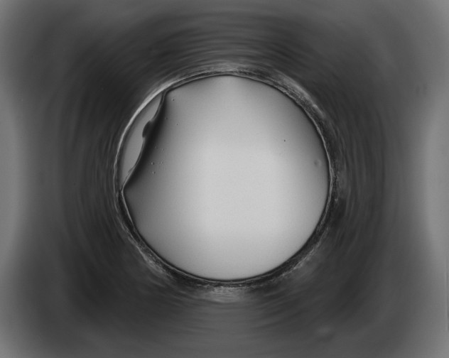 X0000083071178200703022150