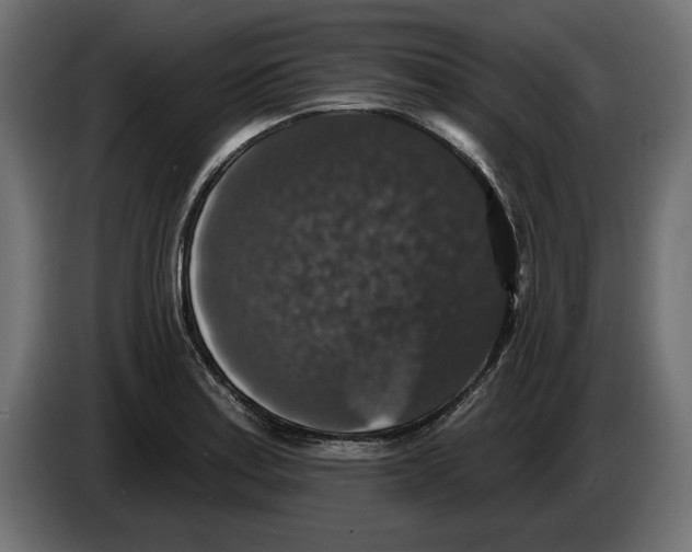 X0000083071179200703022150