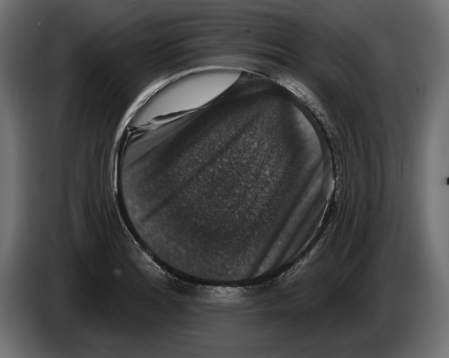 X0000083071180200703022150