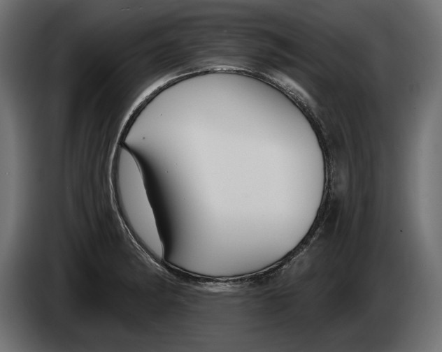 X0000083071182200703022150