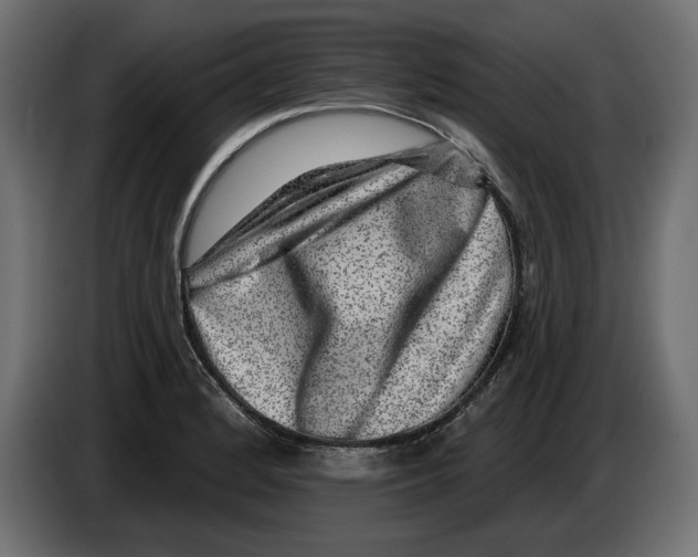 X0000083071184200703022150