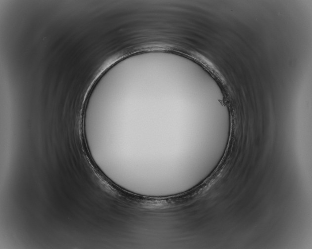 X0000083071186200703022150