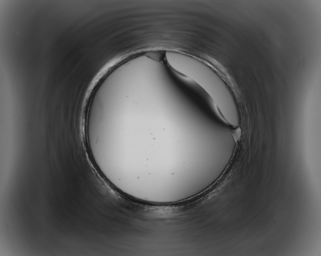 X0000083071188200703022150