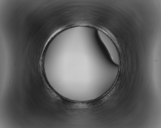 X0000083071190200703022150