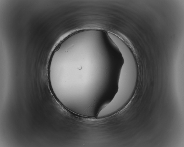 X0000083071192200703022150