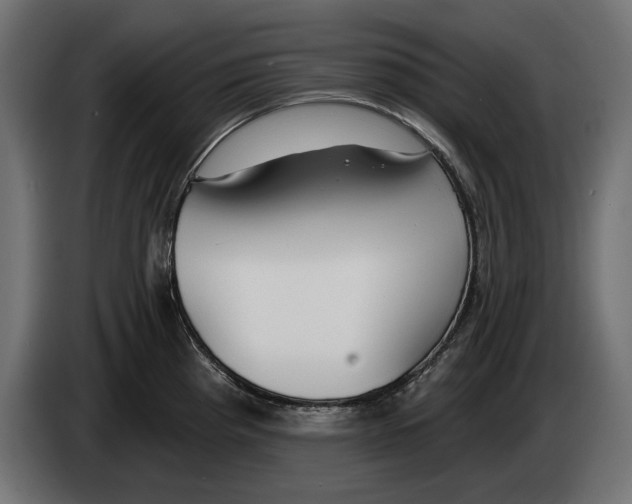 X0000083071193200703022150