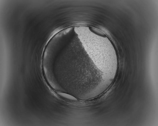 X0000083071194200703022150