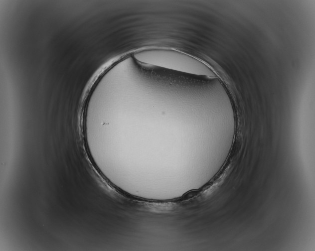 X0000083071196200703022149