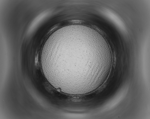 X0000083071198200703022149
