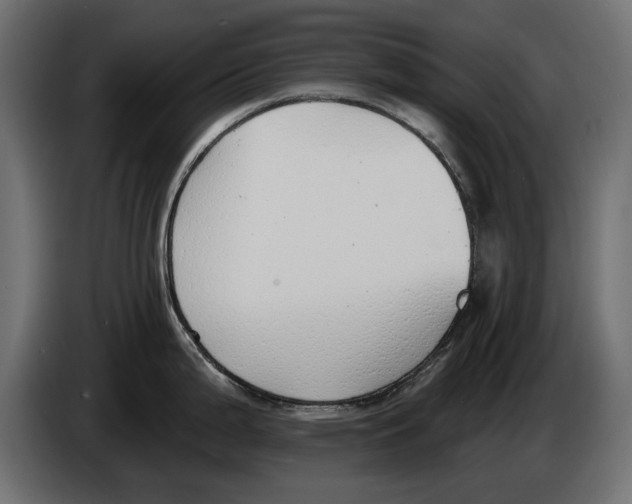 X0000083071199200703022149