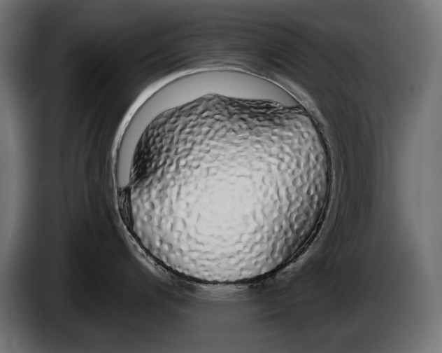 X0000083071200200703022149