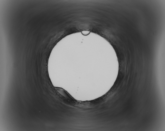 X0000083071201200703022149