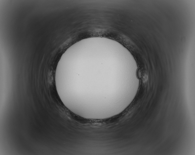 X0000083071204200703022149