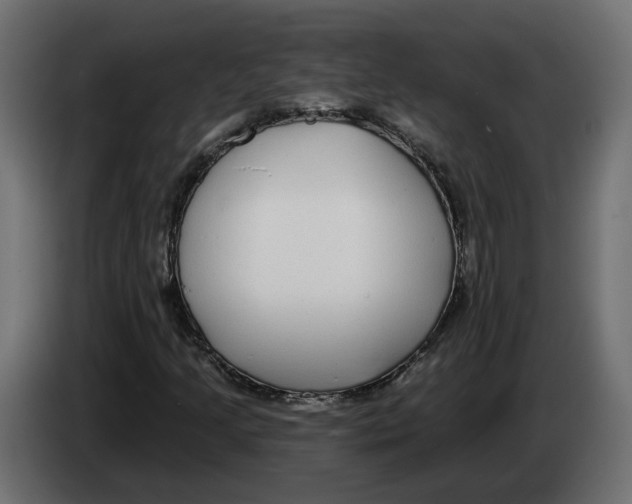 X0000083071205200703022149