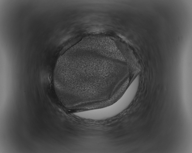 X0000083071206200703022149
