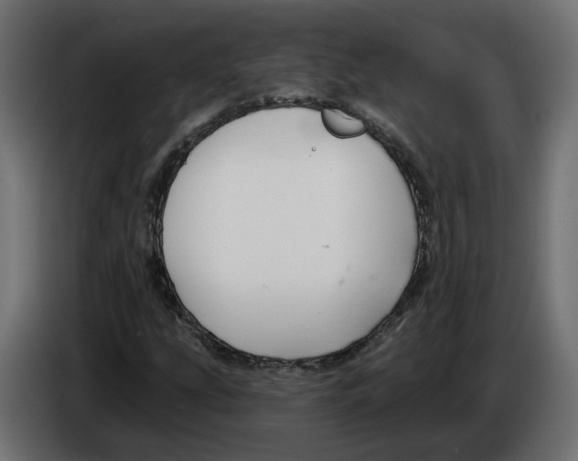 X0000083071207200703022149
