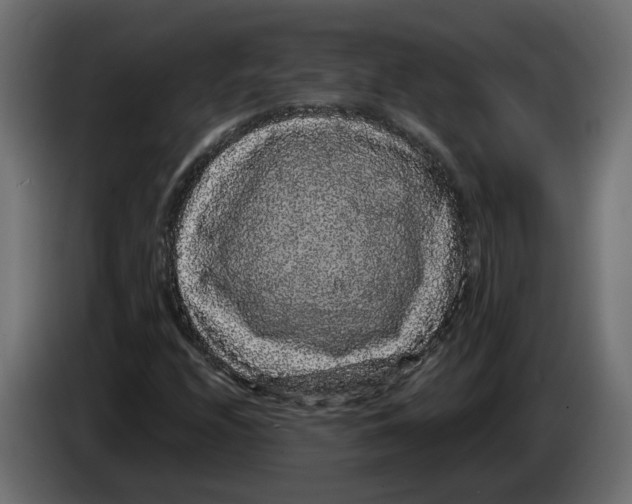 X0000083071208200703022149