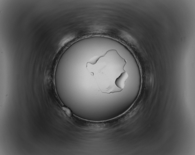 X0000083071210200703022149