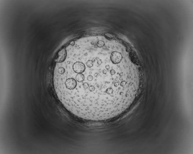 X0000083071211200703022149