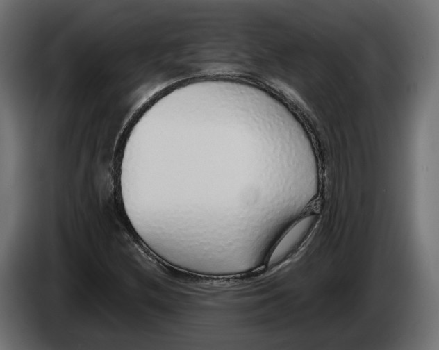 X0000083071212200703022149
