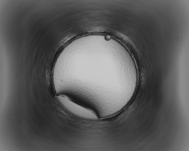 X0000083071217200703022149