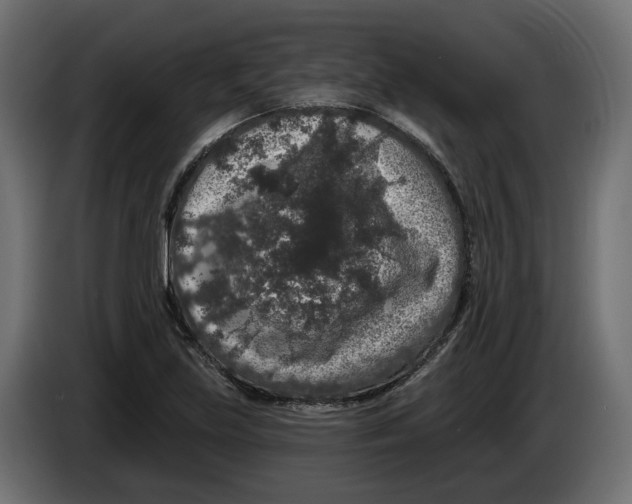 X0000083071219200703022149