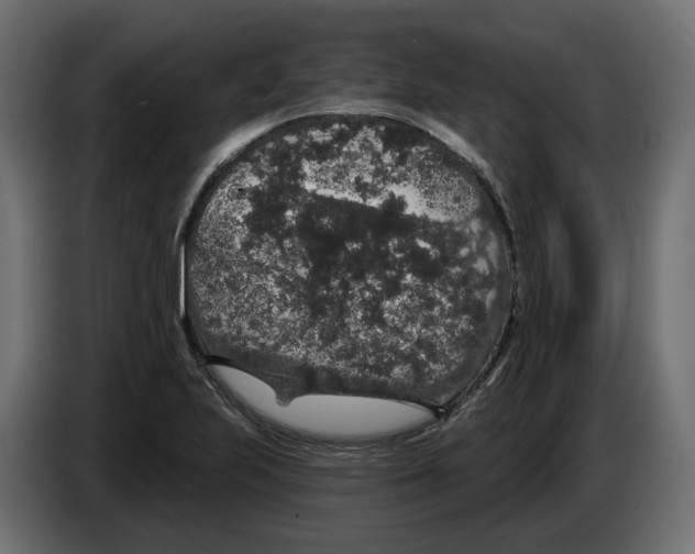 X0000083071223200703022149