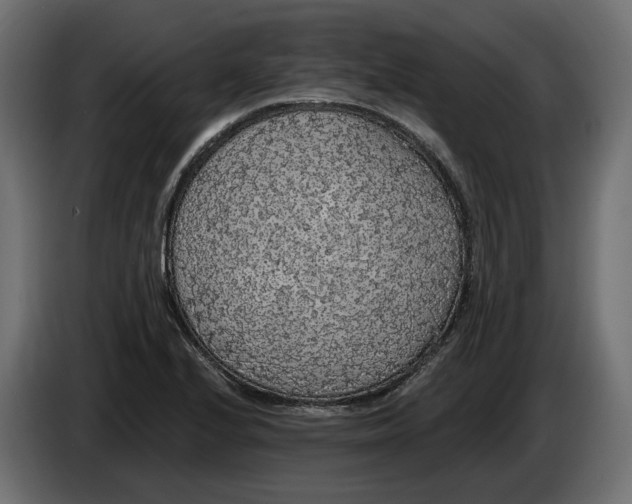 X0000083071224200703022149