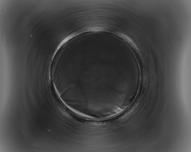 X0000083071226200703022149
