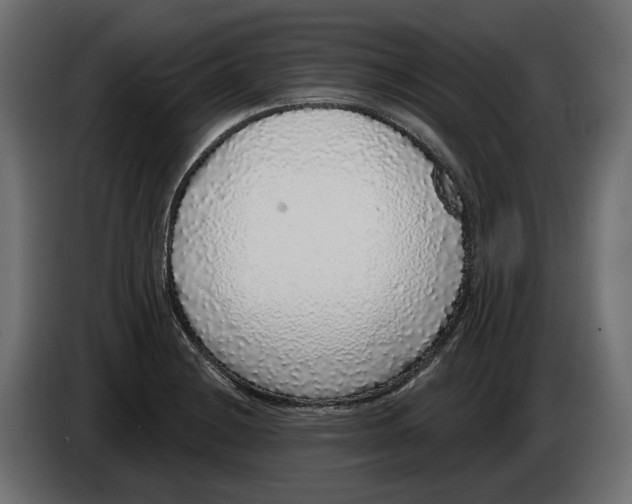 X0000083071228200703022149