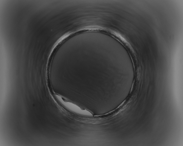 X0000083071229200703022149