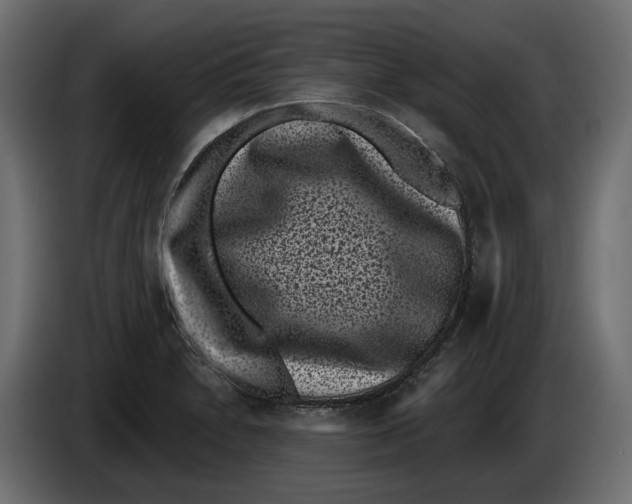 X0000083071230200703022149