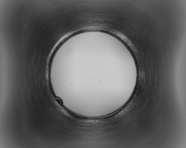 X0000083071232200703022149