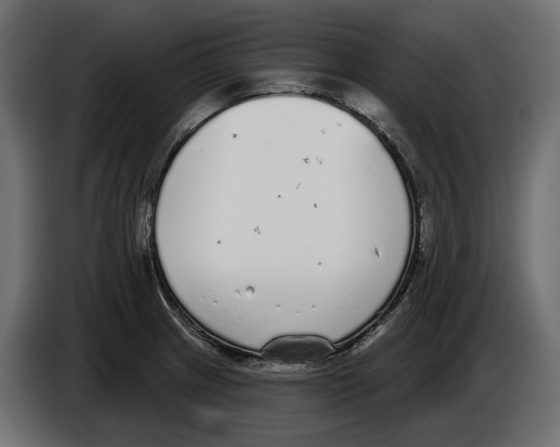 X0000083071233200703022149