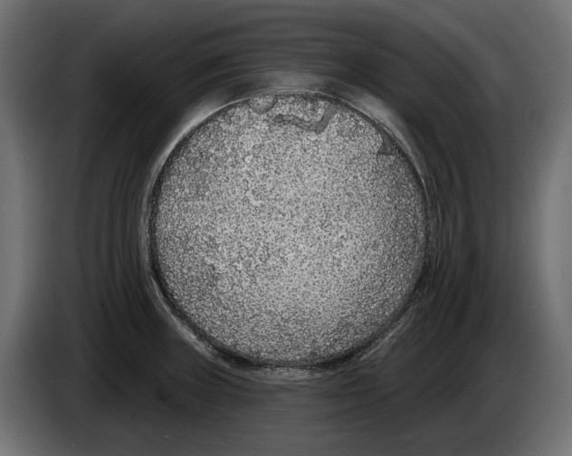 X0000083071235200703022149