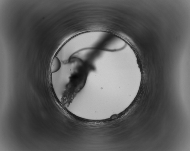 X0000083071236200703022149