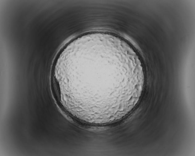 X0000083071237200703022149