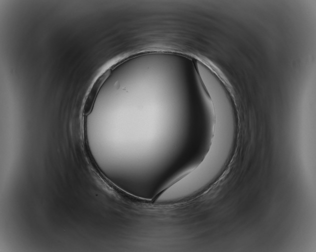 X0000083071238200703022149