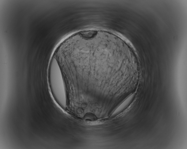 X0000083071239200703022149