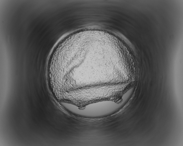 X0000083071240200703022149