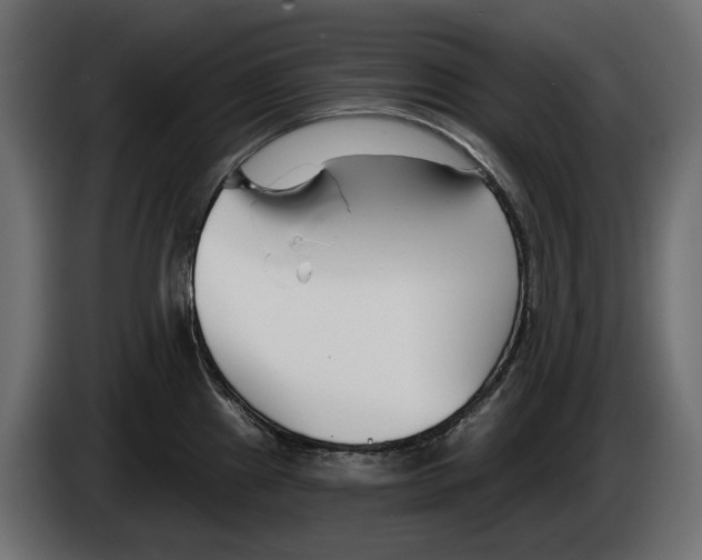X0000083071241200703022149